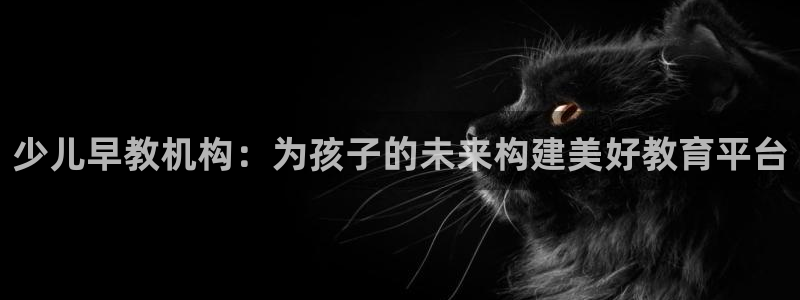 天狮娱乐招商66六26：少儿早教机构：为孩子的未来构建美好教育平台