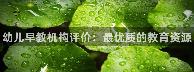 天狮娱乐 a主57661管：幼儿早教机构评价：最优质的教育资源