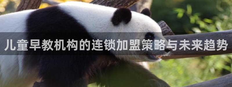 娱乐狮天：儿童早教机构的连锁加盟策略与未来趋势