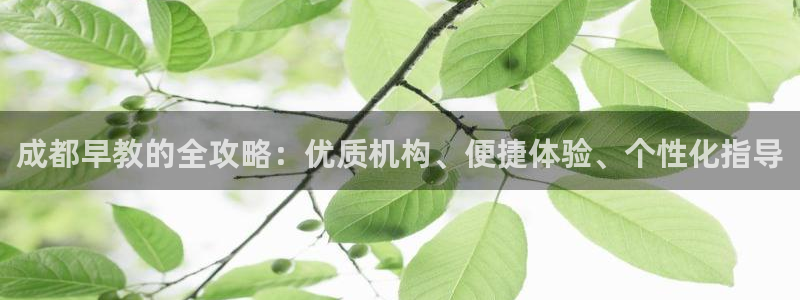 天狮娱乐平台代理：成都早教的全攻略：优质机构、便捷体验、个性化指导