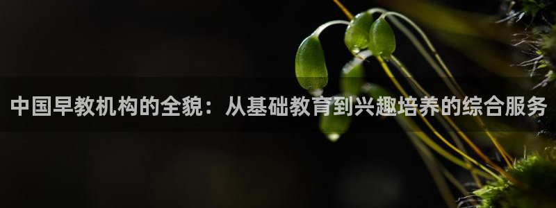 天狮娱乐登录