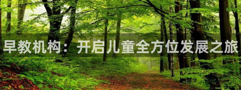 天狮娱乐ios下载:早教机构:开启儿童全方位发展之旅