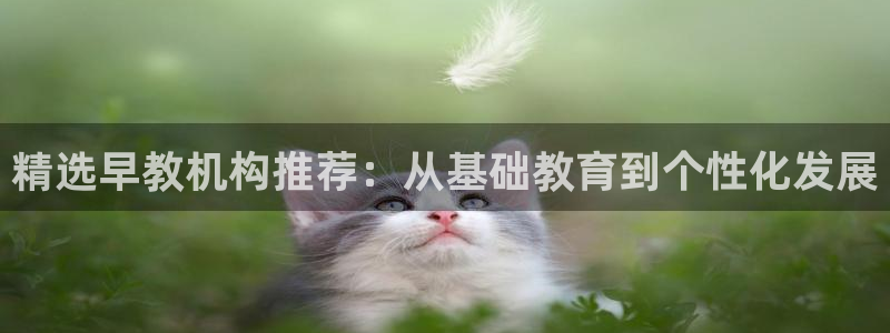 天狮娱乐彩票官网：精选早教机构推荐：从基础教育到个性化发展