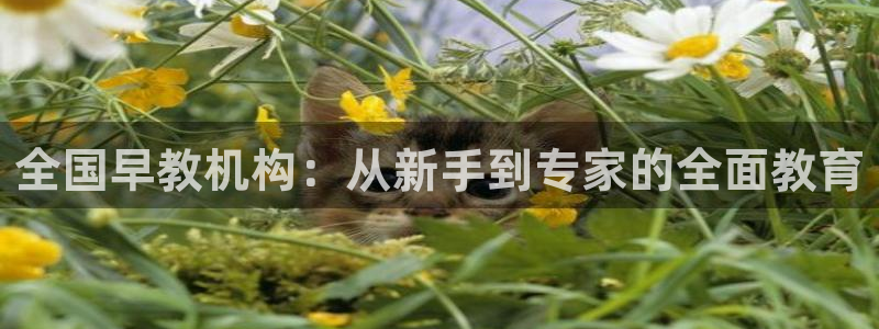 天狮娱乐:全国早教机构:从新手到专家的全面教育