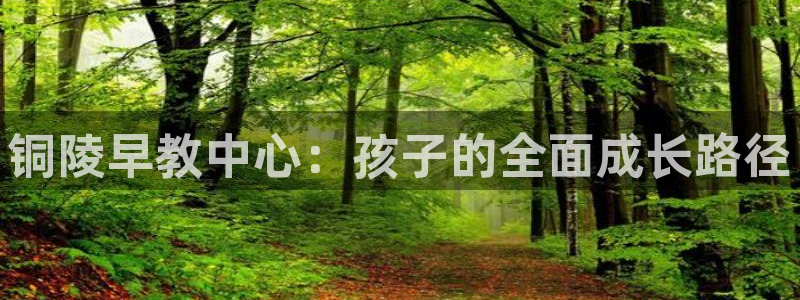 天狮娱乐怎么注册：铜陵早教中心：孩子的全面成长路径