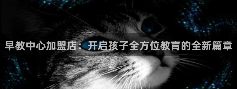 天狮娱乐怎样玩：早教中心加盟店：开启孩子全方位教育的全新篇章