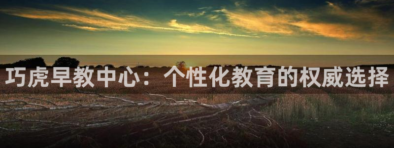 天狮娱乐挂机：巧虎早教中心：个性化教育的权威选择