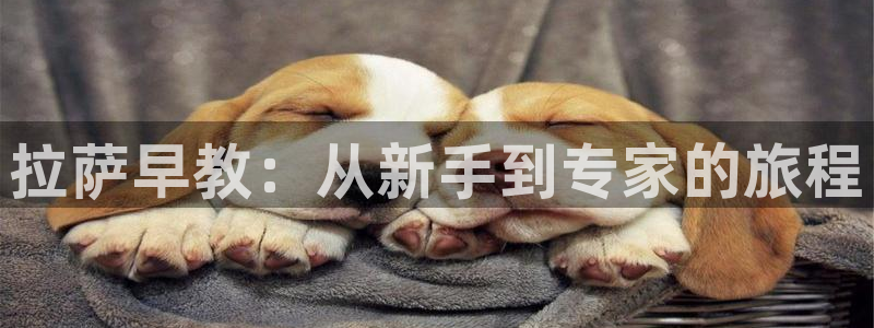 天狮娱乐指尖下载手机版：拉萨早教：从新手到专家的旅程