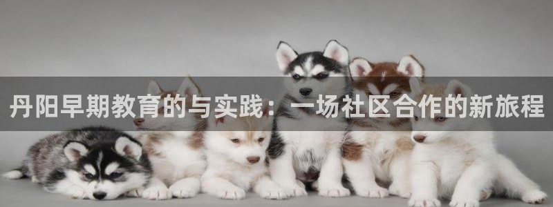 天狮娱乐直招64681:丹阳早期教育的与实践:一场社区合作的新旅程