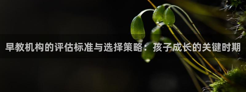 天狮娱乐 运营88383x:早教机构的评估标准与选择策略:孩子成长的关键时期