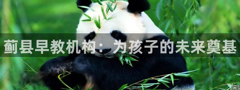 天狮娱乐指尖下载官网：蓟县早教机构：为孩子的未来奠基