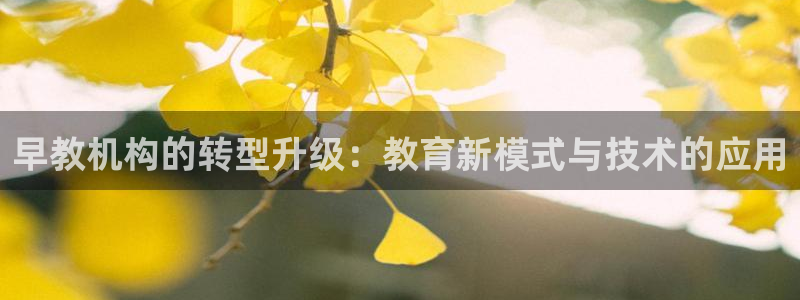 天狮娱乐手机：早教机构的转型升级：教育新模式与技术的应用