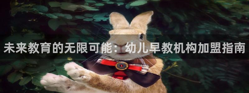 天狮娱乐网：未来教育的无限可能：幼儿早教机构加盟指南