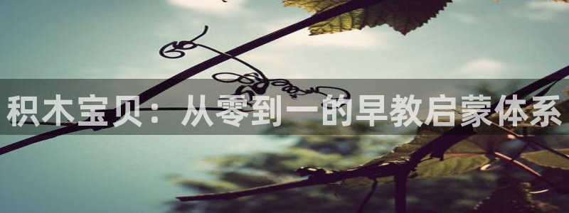 天狮娱乐怎么玩法：积木宝贝：从零到一的早教启蒙体系