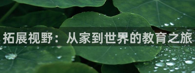 天狮娱乐29e判官333OO：拓展视野：从家到世界的教育之旅