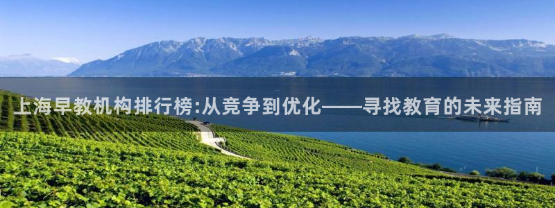 天狮娱乐多：上海早教机构排行榜:从竞争到优化——寻找教育的未来指南
