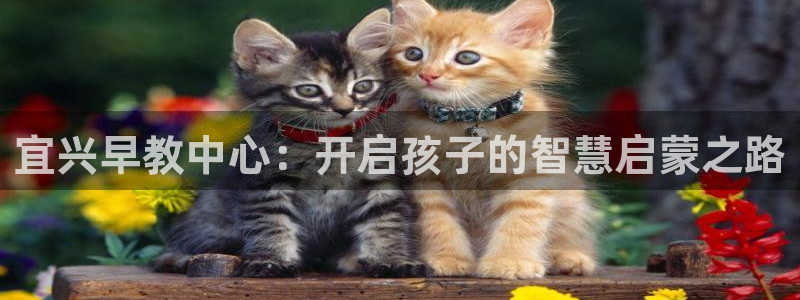 天狮娱乐股东57757：宜兴早教中心：开启孩子的智慧启蒙之路