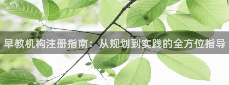 天狮娱乐成立：早教机构注册指南：从规划到实践的全方位指导