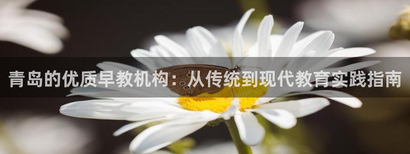 天狮娱乐彩票合法吗：青岛的优质早教机构：从传统到现代教育实践指南