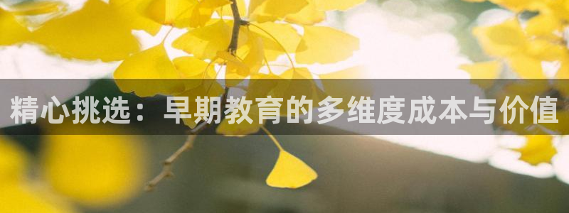 天狮娱乐官方网站下载：精心挑选：早期教育的多维度成本与价值