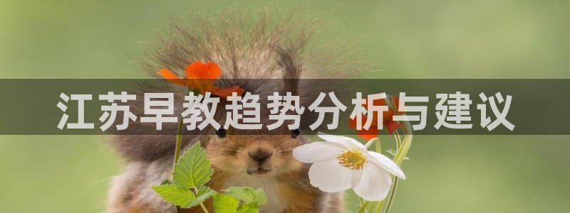 天狮娱乐挂机风险：江苏早教趋势分析与建议