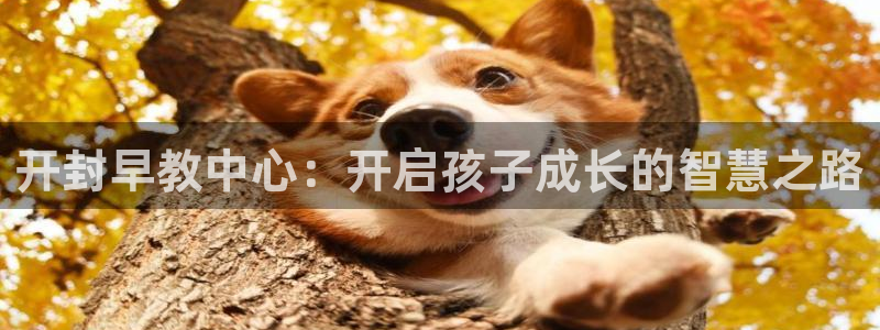 天狮娱乐平台作弊：开封早教中心：开启孩子成长的智慧之路