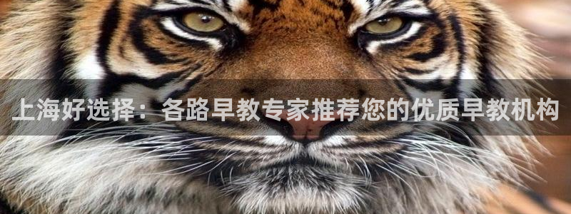 天狮娱乐主管q844389：上海好选择：各路早教专家推荐您的优质早教机构