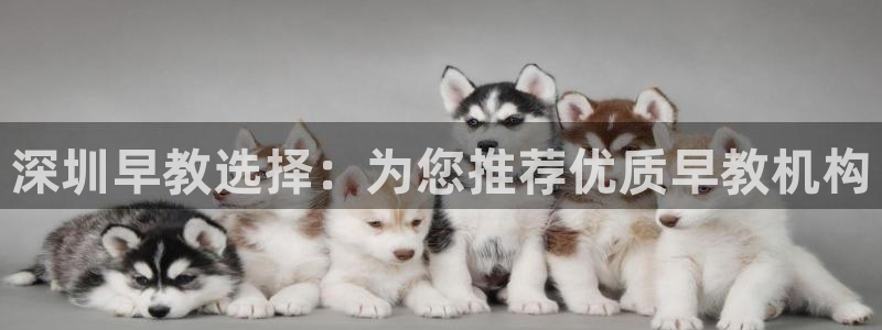 天狮娱乐注册登陆：深圳早教选择：为您推荐优质早教机构