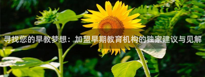 天狮娱乐是私人平台吗：寻找您的早教梦想：加盟早期教育机构的独家建议与见解