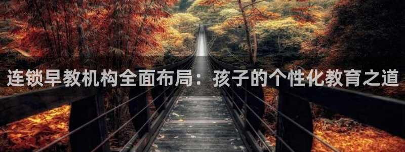天狮娱乐卧j主管60447：连锁早教机构全面布局：孩子的个性化教育之道