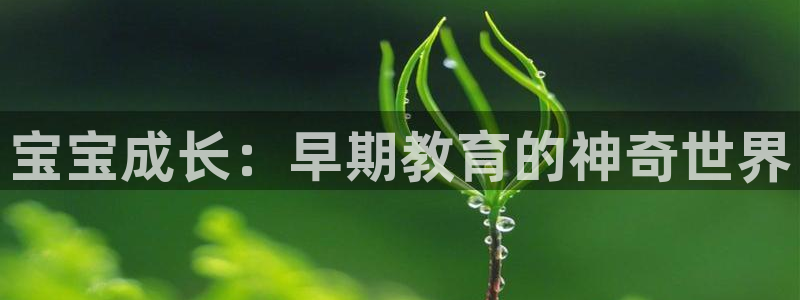 天狮娱乐客服：宝宝成长：早期教育的神奇世界