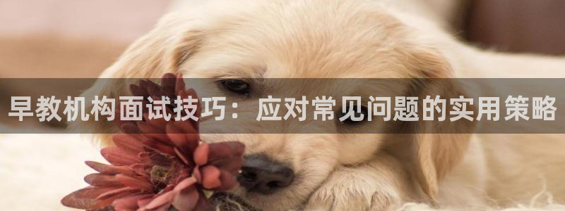 天狮娱乐登录官网平台：早教机构面试技巧：应对常见问题的实用策略