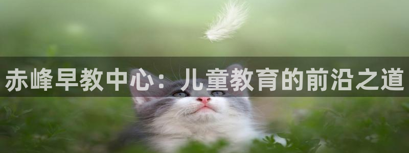 天狮娱乐815422:赤峰早教中心:儿童教育的前沿之道