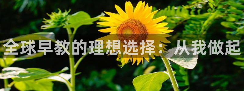 天狮娱乐30j判官333OO:全球早教的理想选择:从我做起