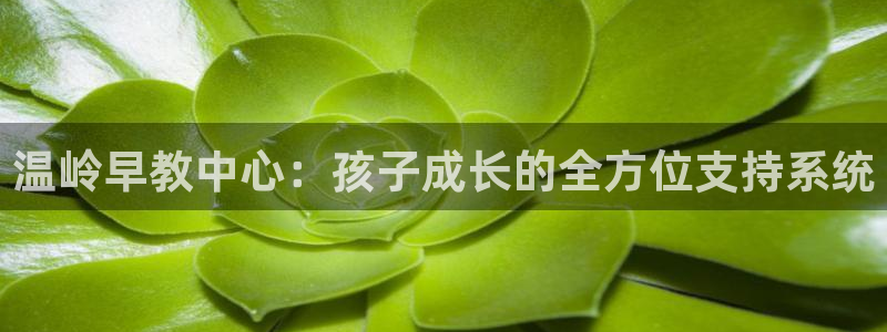 蓝狮娱乐招商天原判官333OO：温岭早教中心：孩子成长的全方位支持系统