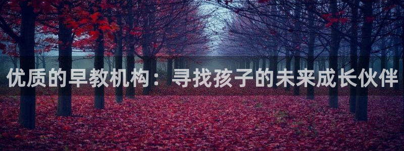 天狮娱乐官方网站：优质的早教机构：寻找孩子的未来成长伙伴