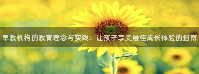 天狮娱乐可以赚钱吗：早教机构的教育理念与实践：让孩子享受最佳成长体验的指南