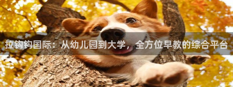 天狮娱乐最新版本：拉钩钩国际：从幼儿园到大学，全方位早教的综合平台