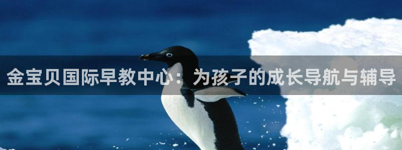 天狮娱乐真的假的：金宝贝国际早教中心：为孩子的成长导航与辅导