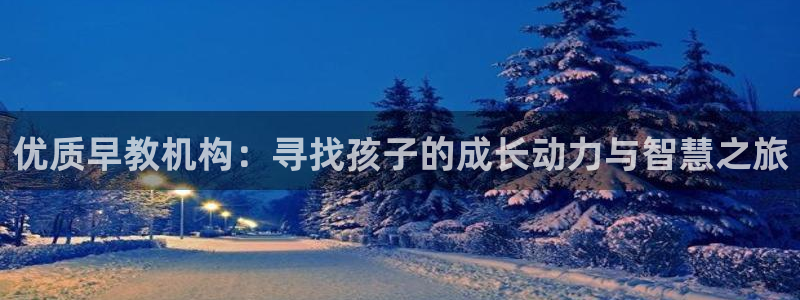 天狮娱乐官方网站:优质早教机构:寻找孩子的成长动力与智慧之旅