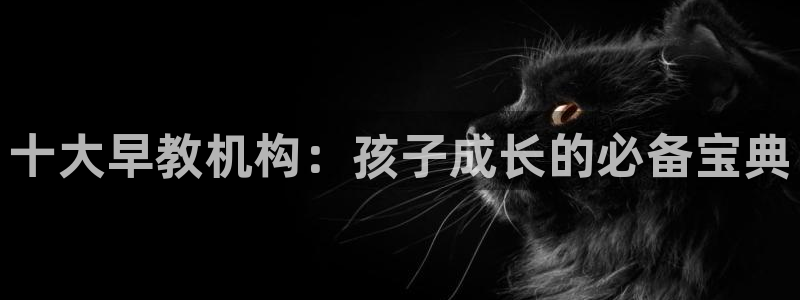 天狮娱乐q聊_99399天神_：十大早教机构：孩子成长的必备宝典