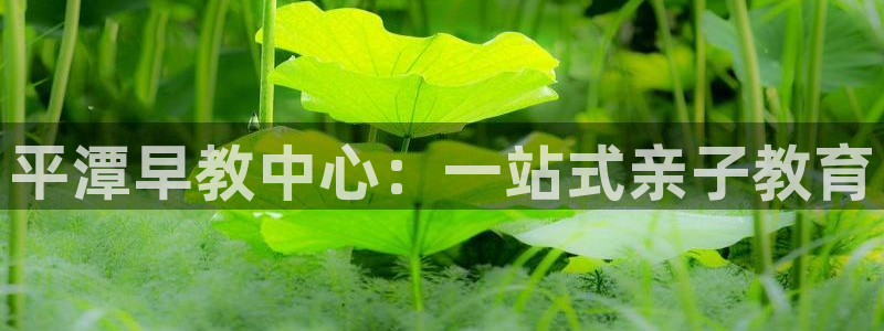 天狮娱乐71009:平潭早教中心:一站式亲子教育