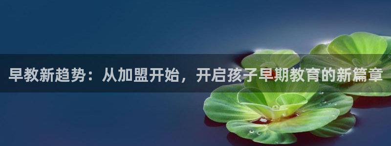 天狮娱乐 q823825515：早教新趋势：从加盟开始，开启孩子早期教育的新篇章