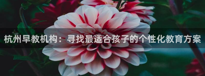 天狮娱乐e招d商98732：杭州早教机构：寻找最适合孩子的个性化教育方案