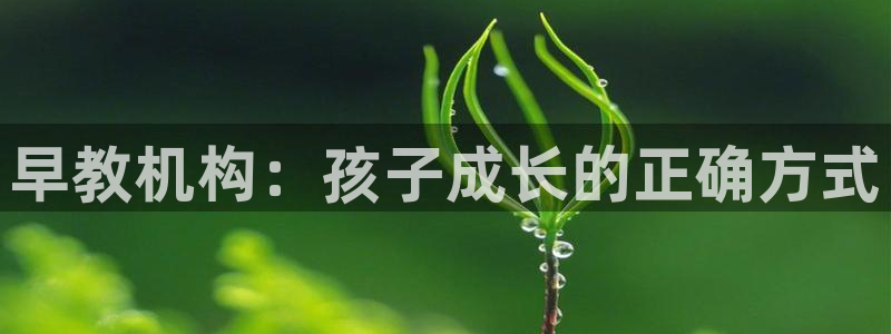 天狮娱乐j 判官:早教机构:孩子成长的正确方式
