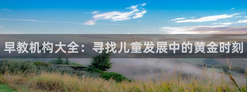天狮娱乐 q823825515：早教机构大全：寻找儿童发展中的黄金时刻