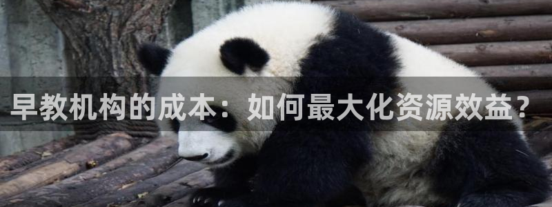 天狮娱乐 b内部61166:早教机构的成本:如何最大化资源效益?