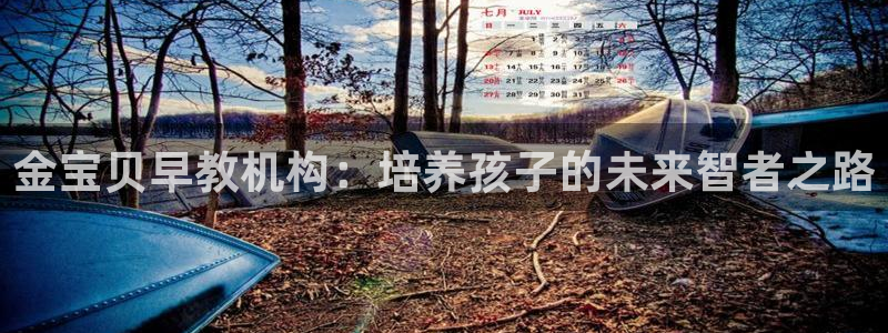 天狮娱乐bd33net广告：金宝贝早教机构：培养孩子的未来智者之路