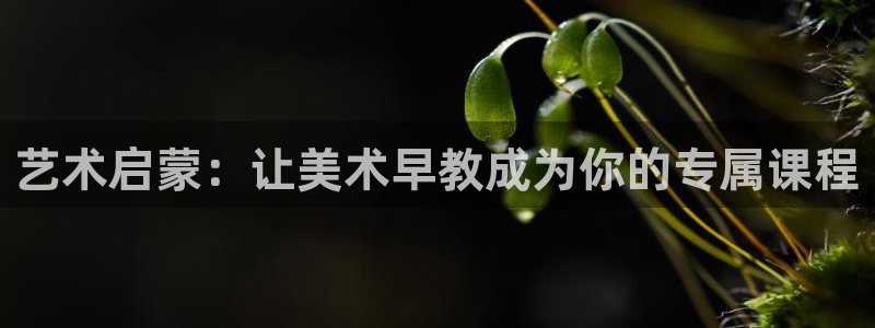 天狮娱乐app:艺术启蒙:让美术早教成为你的专属课程