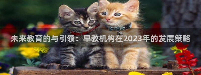 天狮娱乐c OO判官：未来教育的与引领：早教机构在2023年的发展策略